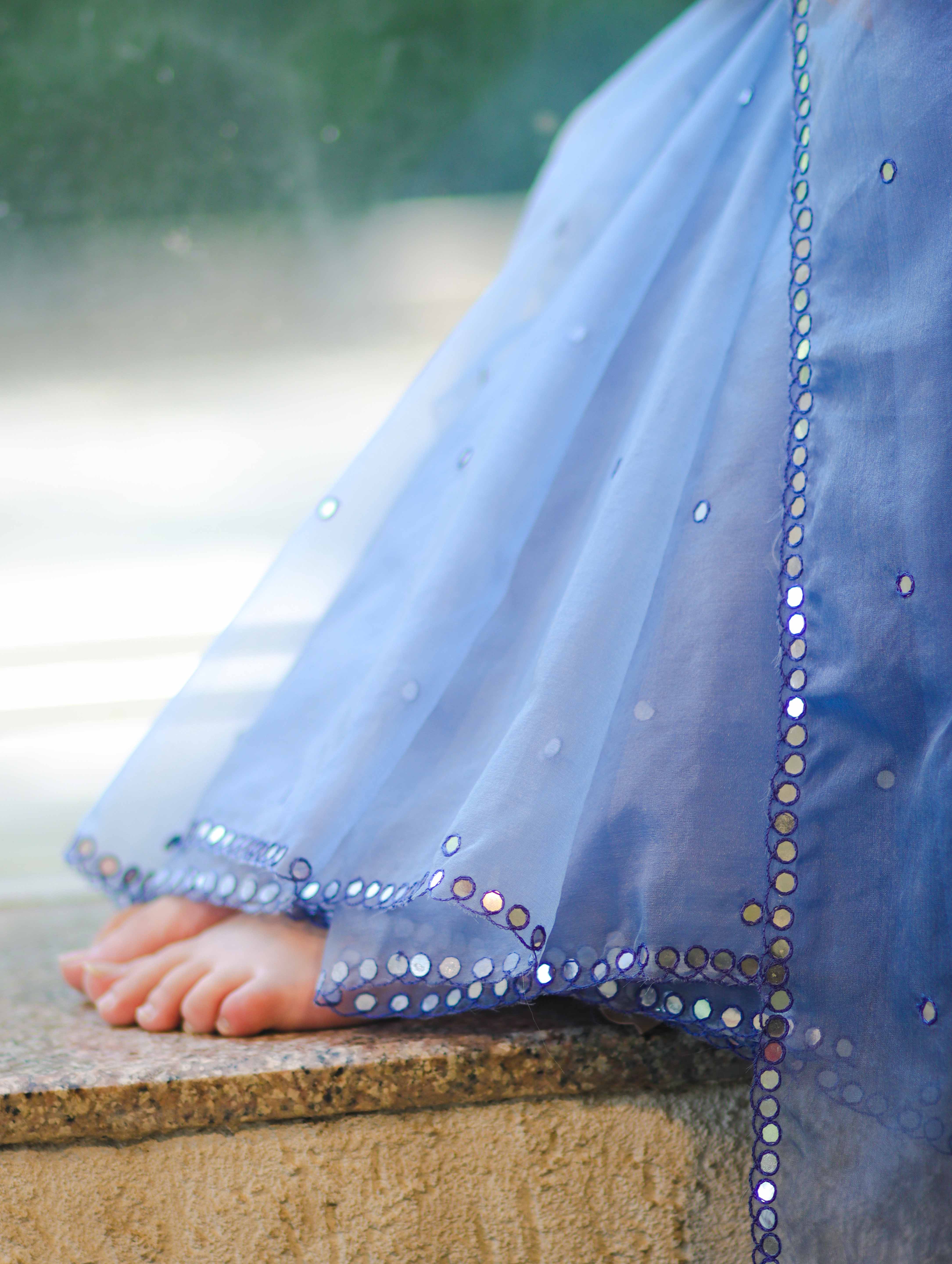 Banarasee Handwoven Organza Mix Saree With Mirror Work-Light Blue