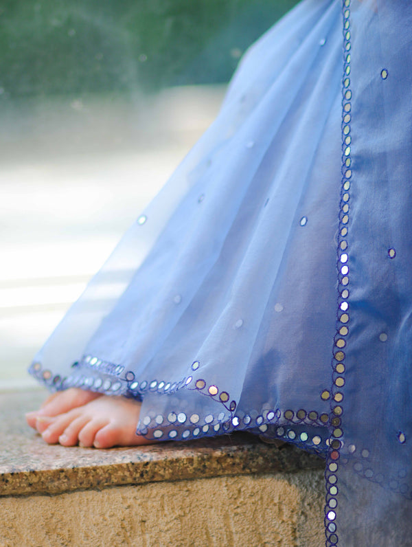 Banarasee Handwoven Organza Mix Saree With Mirror Work-Light Blue