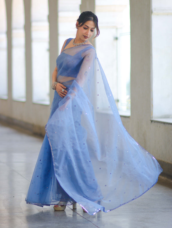 Banarasee Handwoven Organza Mix Saree With Mirror Work-Light Blue