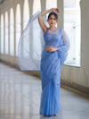 Banarasee Handwoven Organza Mix Saree With Mirror Work-Light Blue