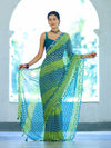 Banarasee Printed Handwork Chiffon Saree-Blue & Green