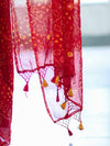 Banarasee Printed Handwork Chiffon Saree-Red