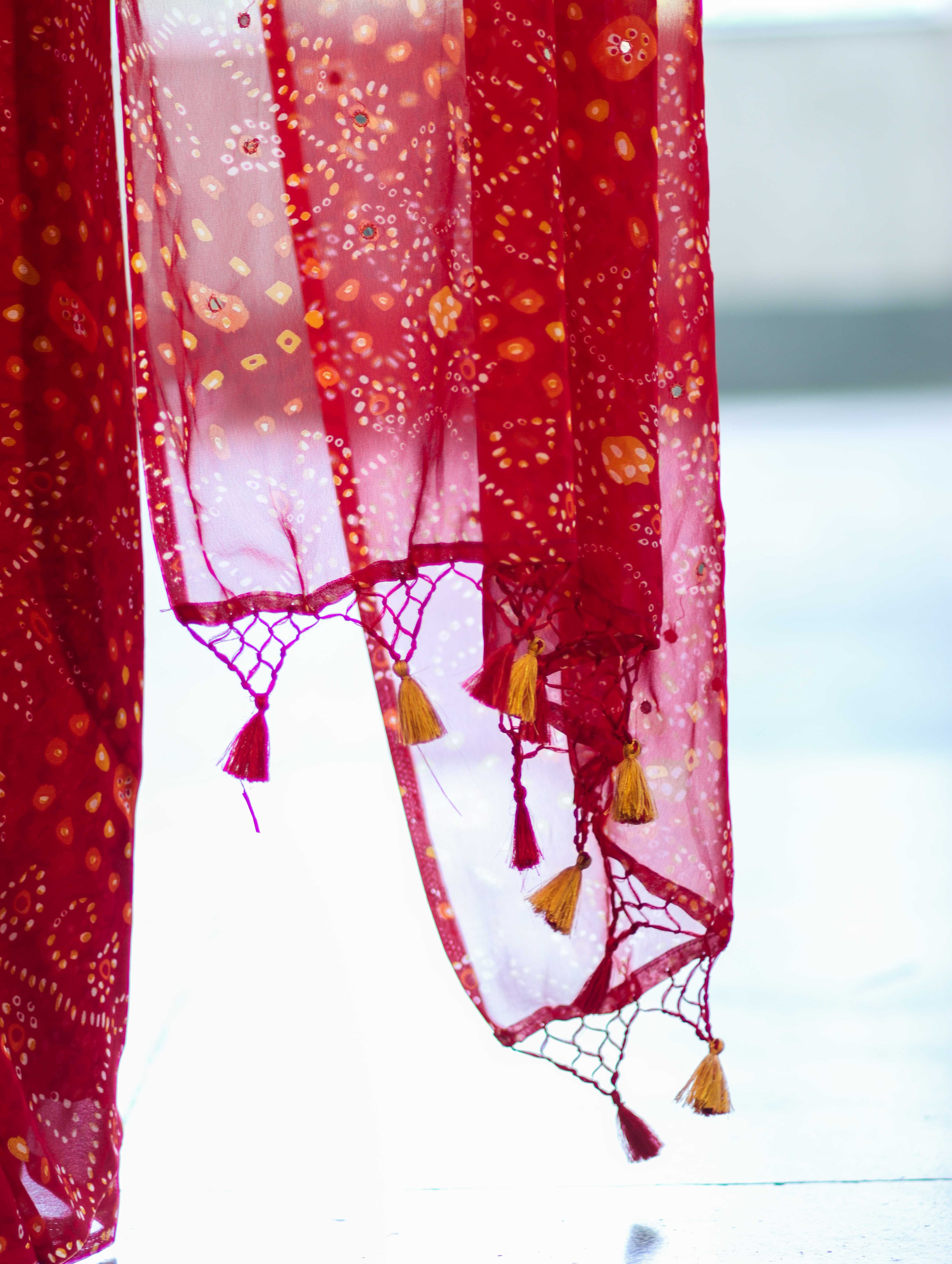 Banarasee Printed Handwork Chiffon Saree-Red