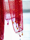 Banarasee Printed Handwork Chiffon Saree-Red