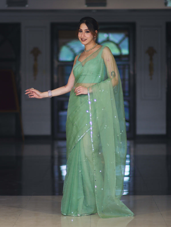 Banarasee Handwoven Organza Mix Saree With Mirror Work-Light Green