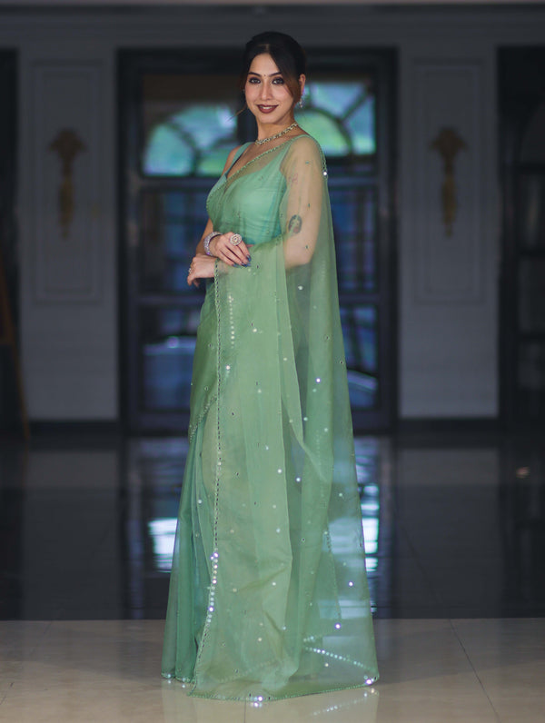 Banarasee Handwoven Organza Mix Saree With Mirror Work-Light Green