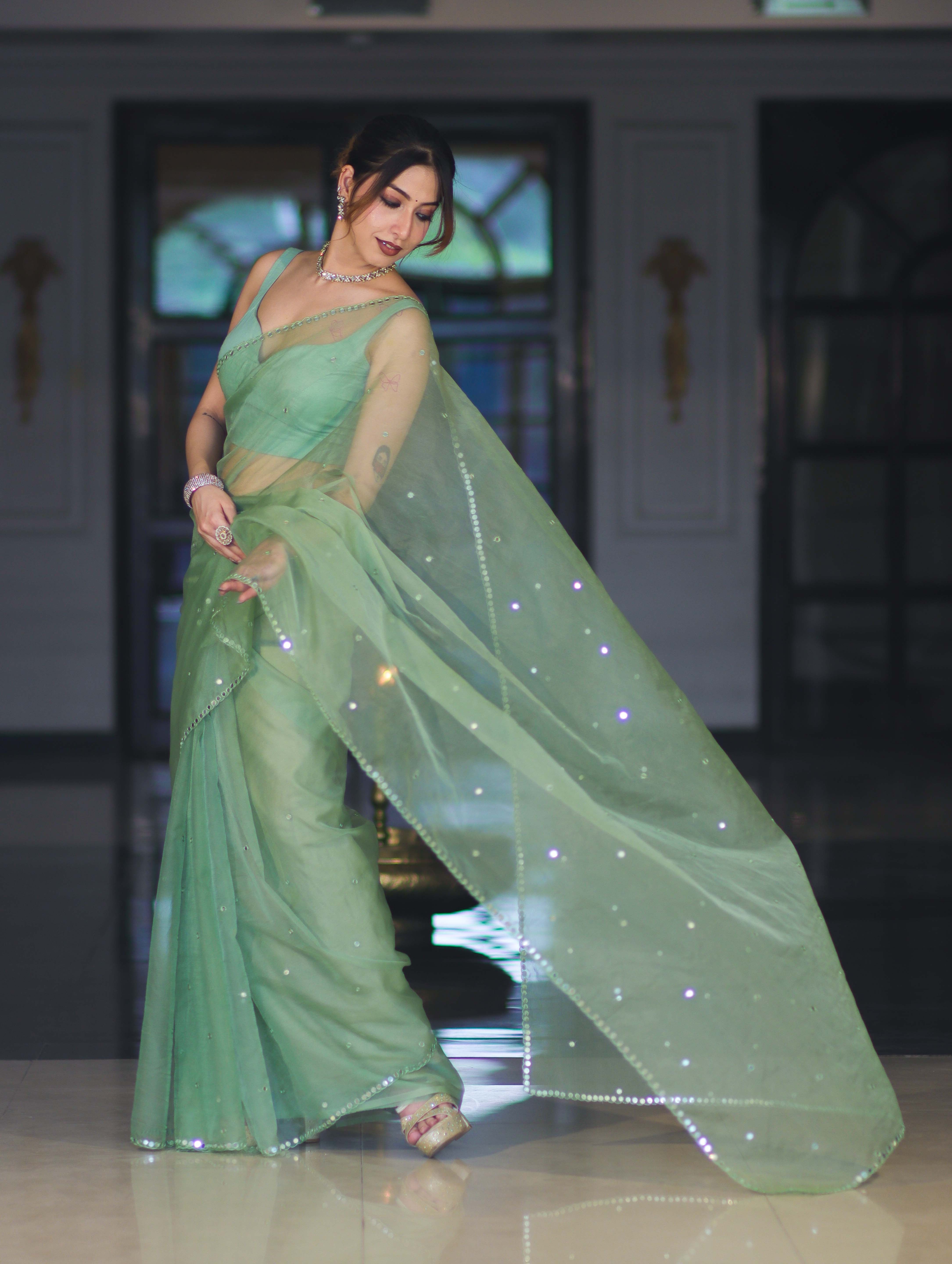 Banarasee Handwoven Organza Mix Saree With Mirror Work-Light Green