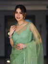 Banarasee Handwoven Organza Mix Saree With Mirror Work-Light Green