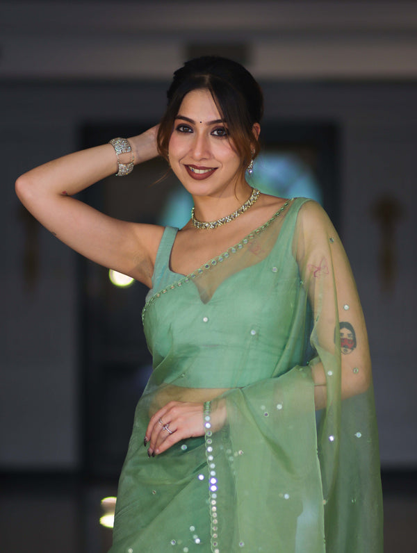 Banarasee Handwoven Organza Mix Saree With Mirror Work-Light Green