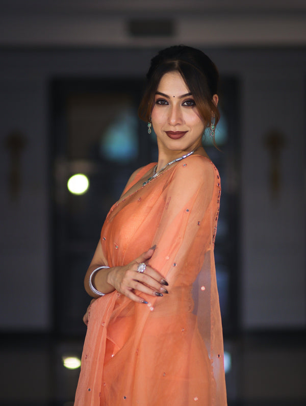 Banarasee Handwoven Organza Mix Saree With Mirror Work-Peach