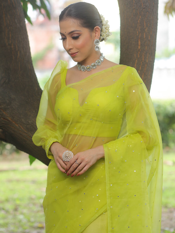 Banarasee Hand-Embroidered Mirror Work Organza Saree With Blouse-Lime Green