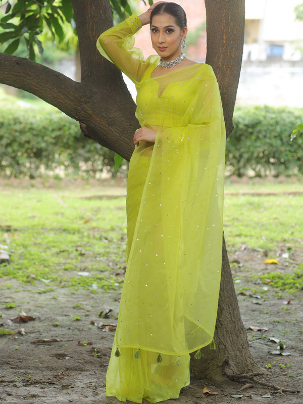 Banarasee Hand-Embroidered Mirror Work Organza Saree With Blouse-Lime Green