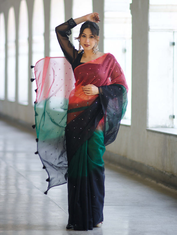 Banarasee Handwoven Organza Mix Saree With Mirror Work-Multicolor
