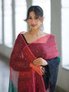 Banarasee Handwoven Organza Mix Saree With Mirror Work-Multicolor