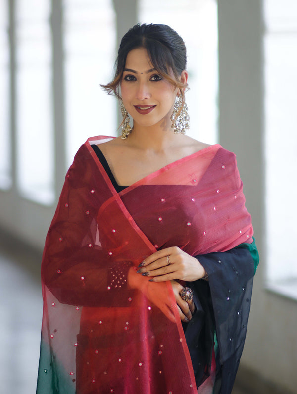 Banarasee Handwoven Organza Mix Saree With Mirror Work-Multicolor