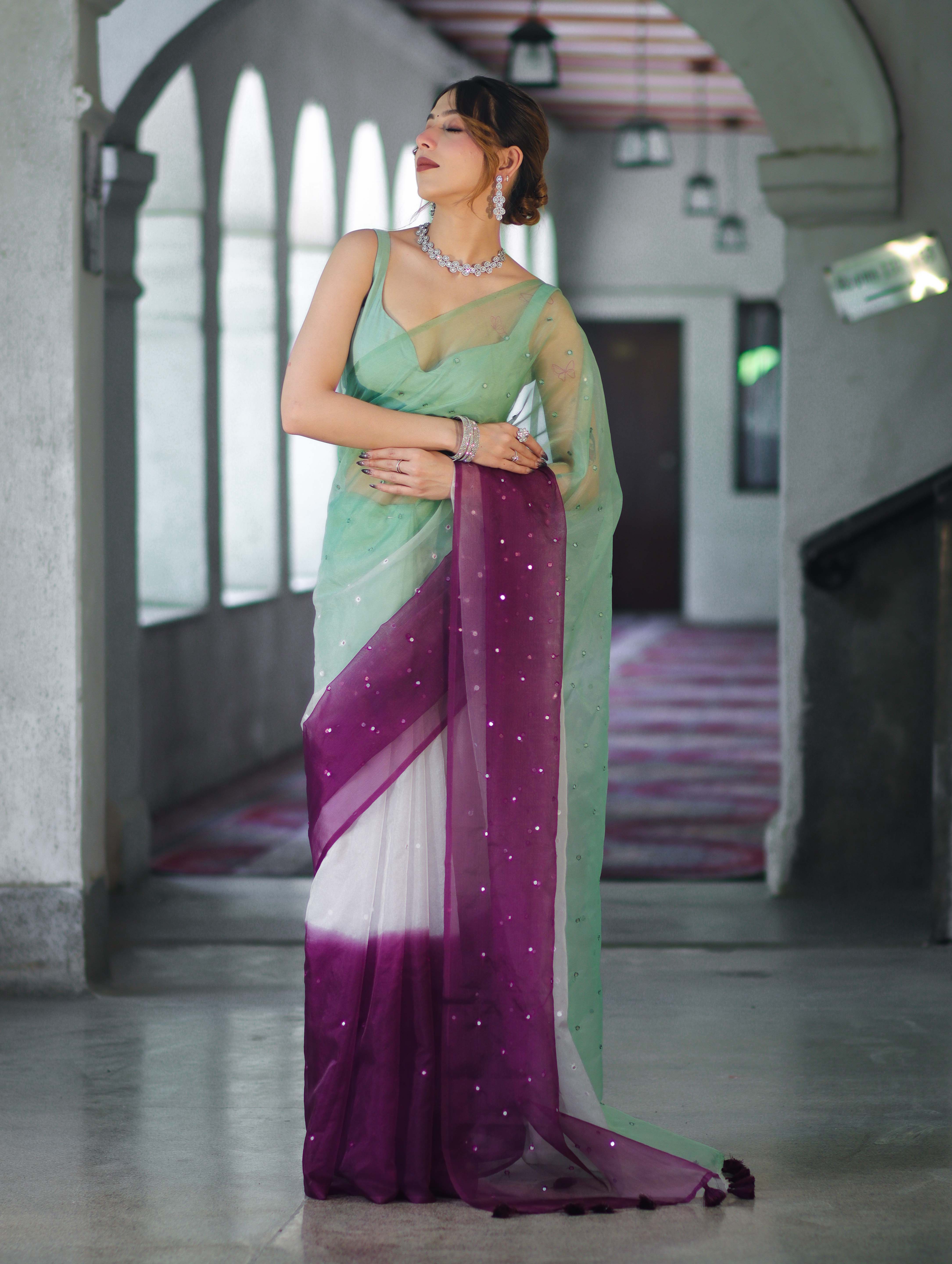 Banarasee Handwoven Organza Mix Saree With Mirror Work-Multicolor