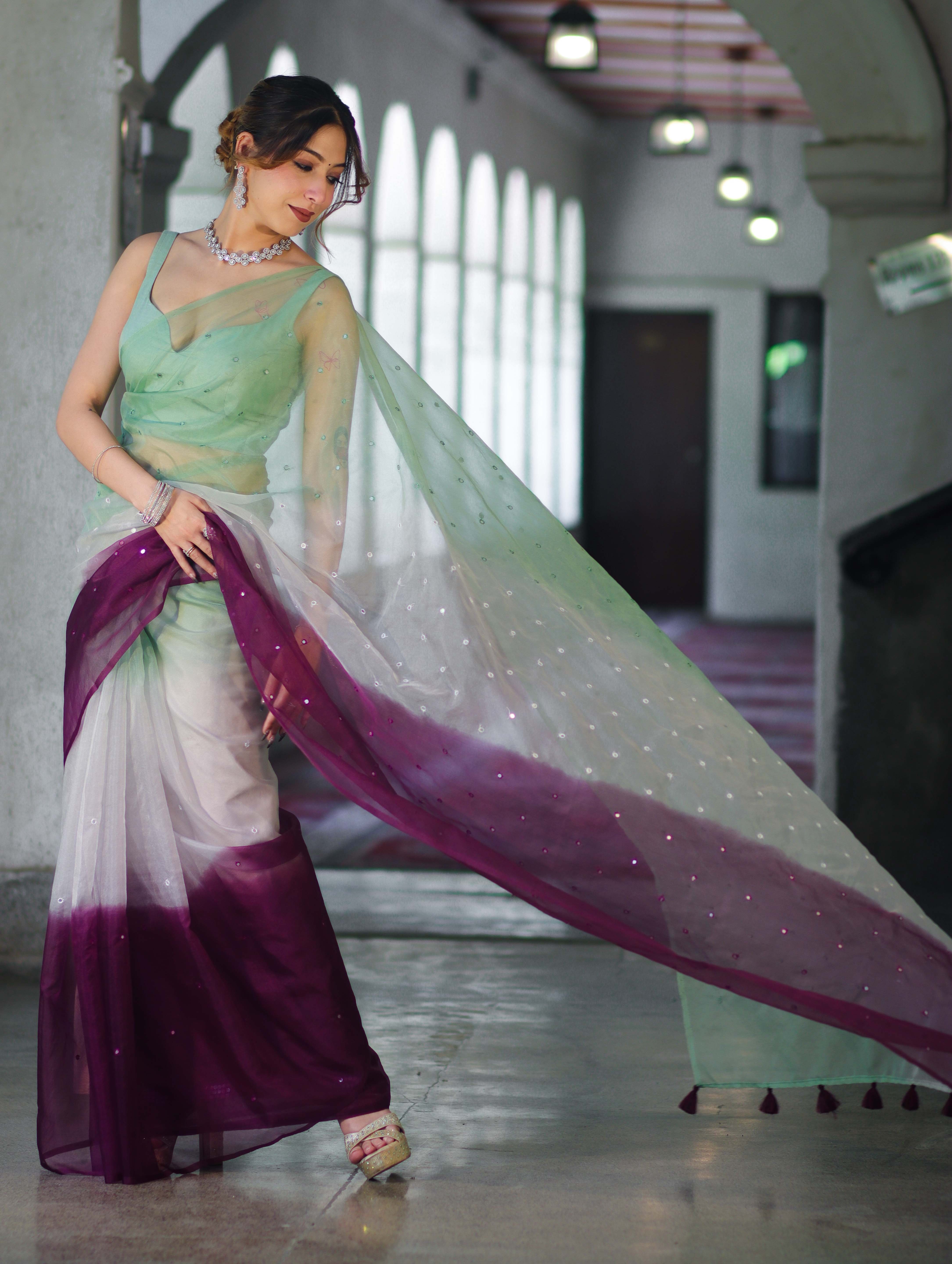 Banarasee Handwoven Organza Mix Saree With Mirror Work-Multicolor