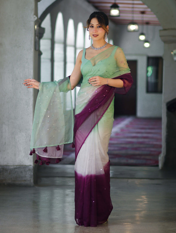 Banarasee Handwoven Organza Mix Saree With Mirror Work-Multicolor