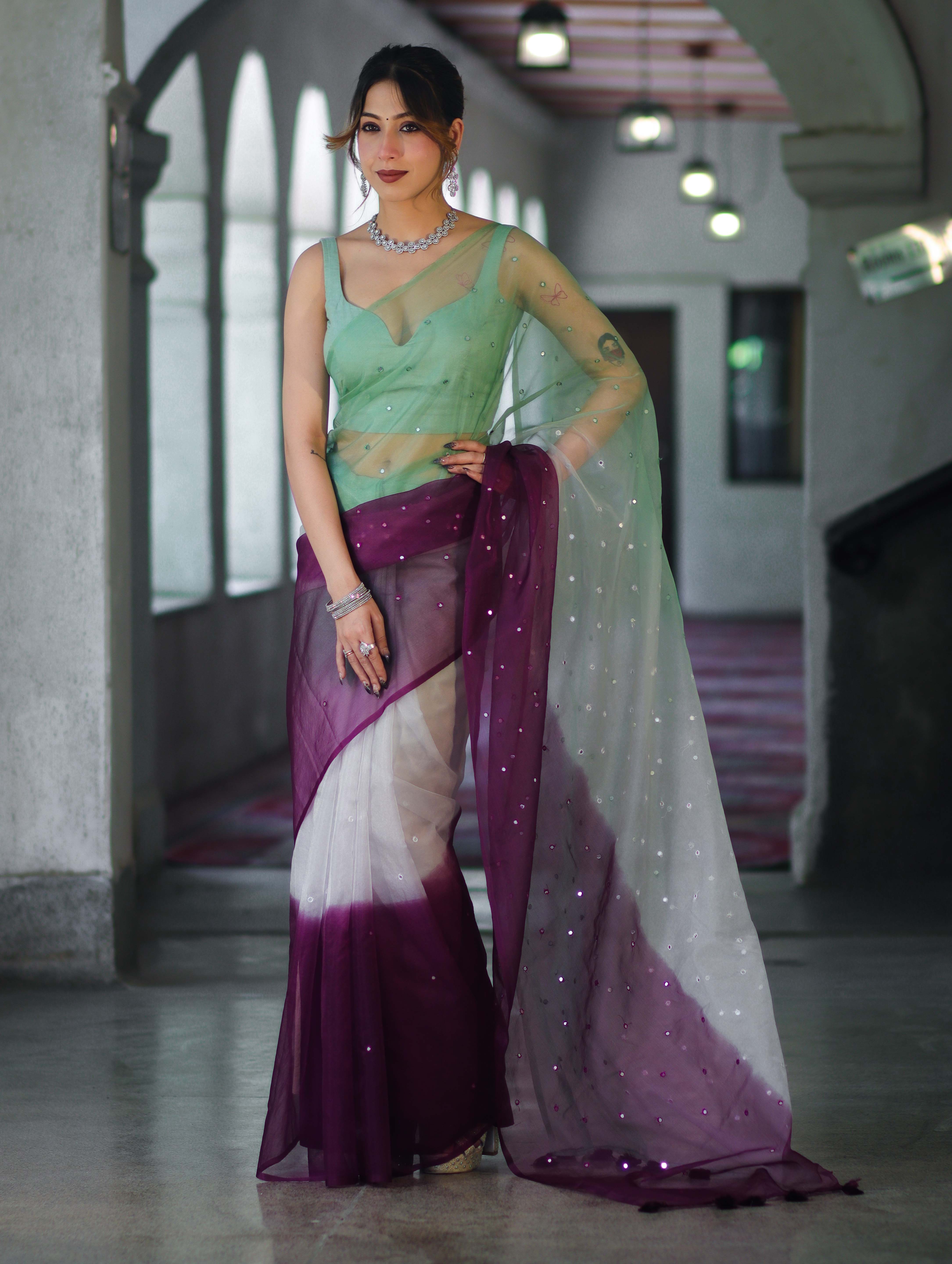 Banarasee Handwoven Organza Mix Saree With Mirror Work-Multicolor