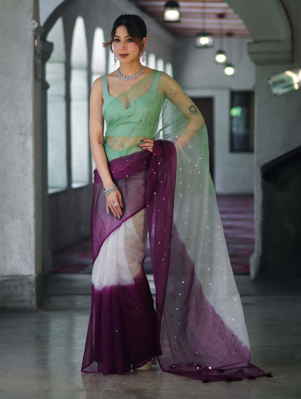 Banarasee Handwoven Organza Mix Saree With Mirror Work-Multicolor