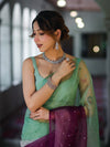 Banarasee Handwoven Organza Mix Saree With Mirror Work-Multicolor
