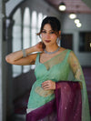 Banarasee Handwoven Organza Mix Saree With Mirror Work-Multicolor