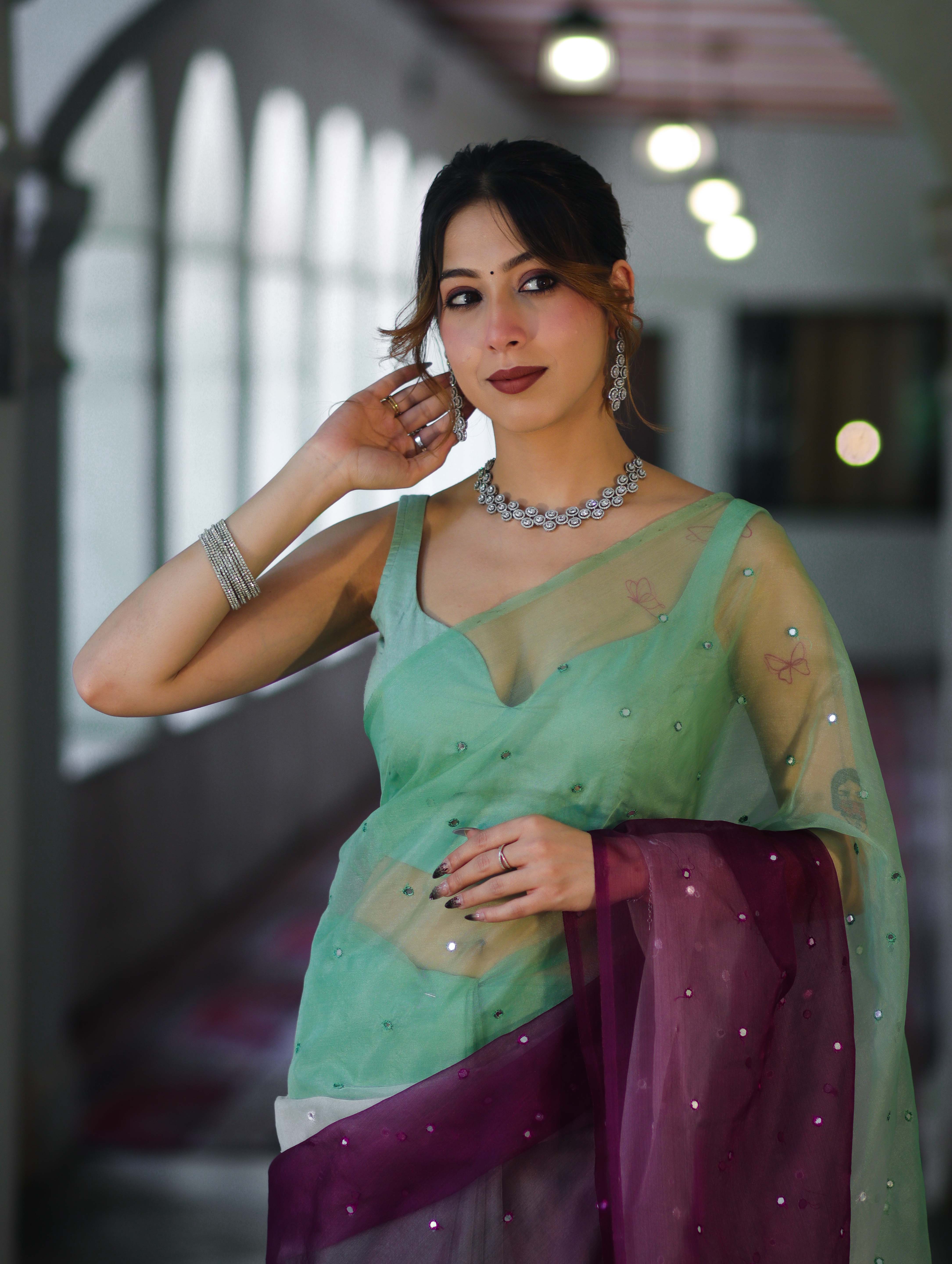 Banarasee Handwoven Organza Mix Saree With Mirror Work-Multicolor