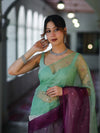 Banarasee Handwoven Organza Mix Saree With Mirror Work-Multicolor