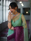 Banarasee Handwoven Organza Mix Saree With Mirror Work-Multicolor