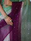 Banarasee Handwoven Organza Mix Saree With Mirror Work-Multicolor