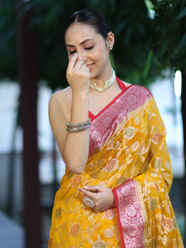 Banarasee Handwoven Georgette Saree With Meena Jaal Work & Contrast Border-Yellow & Red