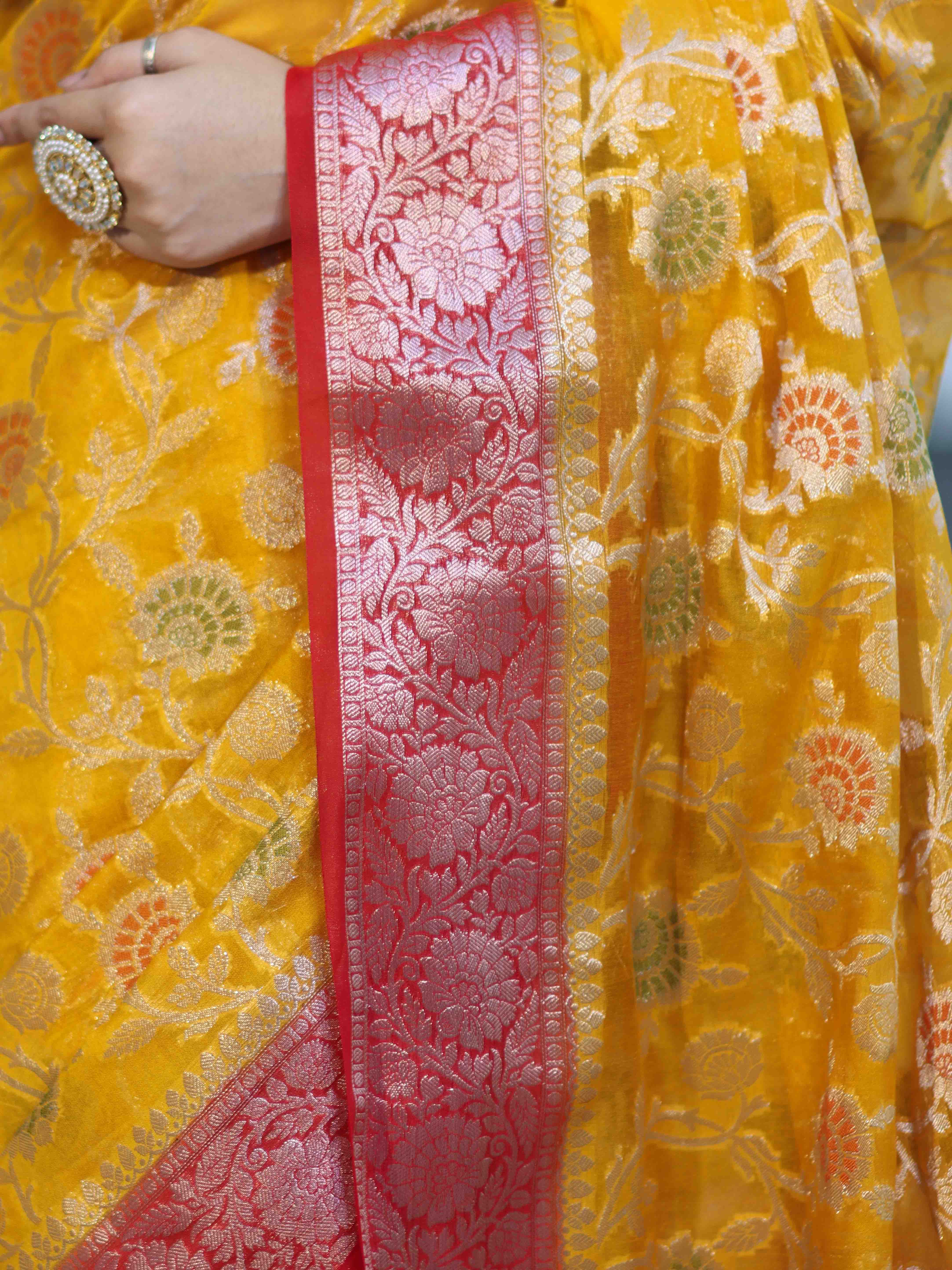 Banarasee Handwoven Georgette Saree With Meena Jaal Work & Contrast Border-Yellow & Red