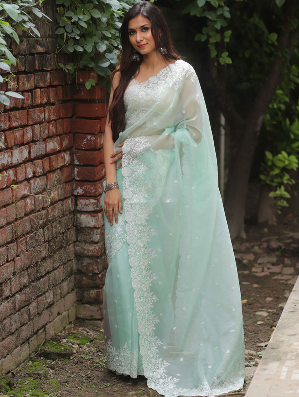Banarasee Pure Organza Silk Saree With Floral Resham Embroidery-Sea Green