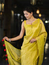 Banarasee Handwoven Tissue Saree With Floral Motifs & Mirror Work-Yellow