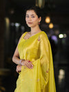 Banarasee Handwoven Tissue Saree With Floral Motifs & Mirror Work-Yellow
