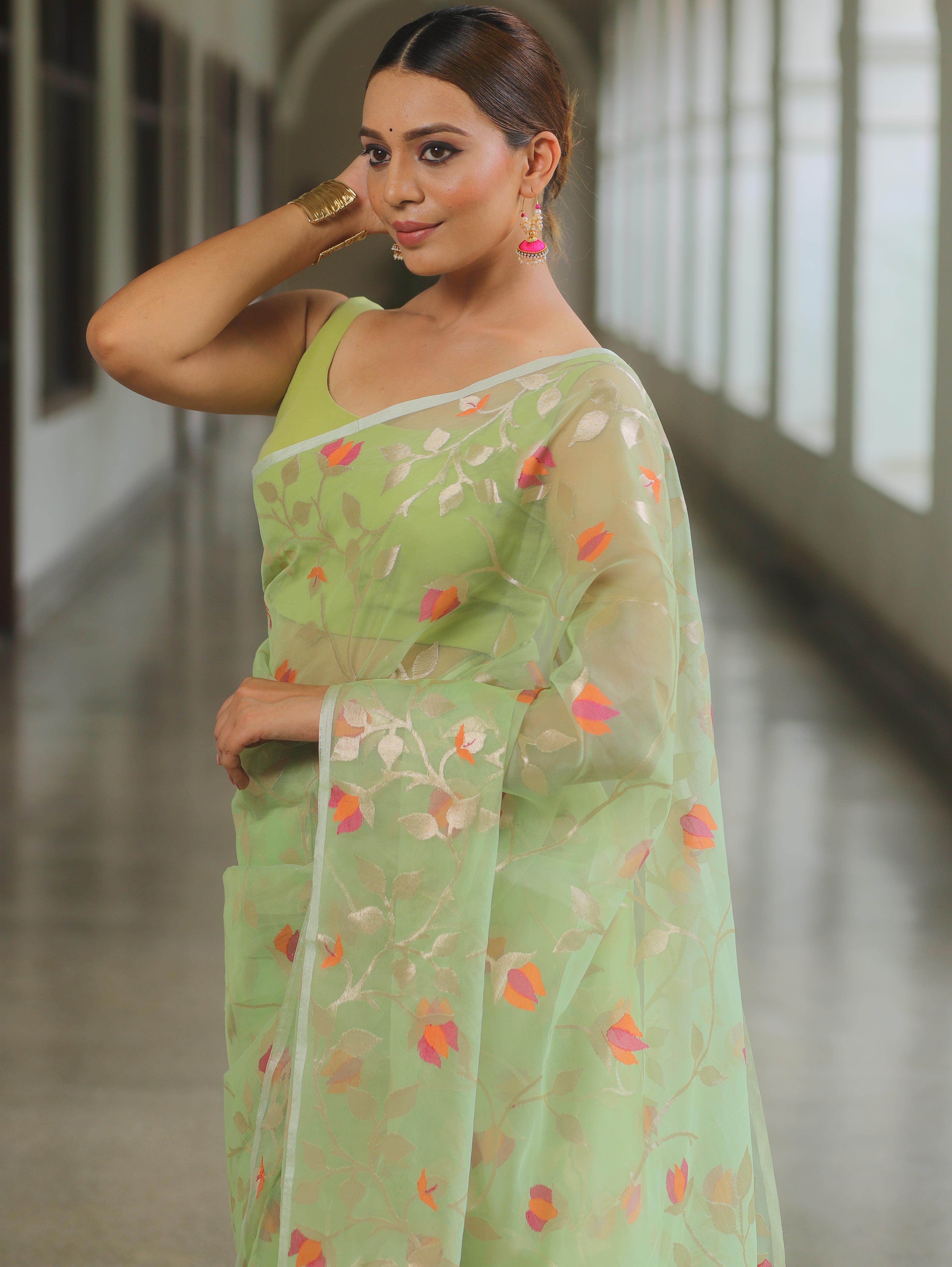 Banarasee Organza Mix Saree With Zari Jaal Design-Light Green