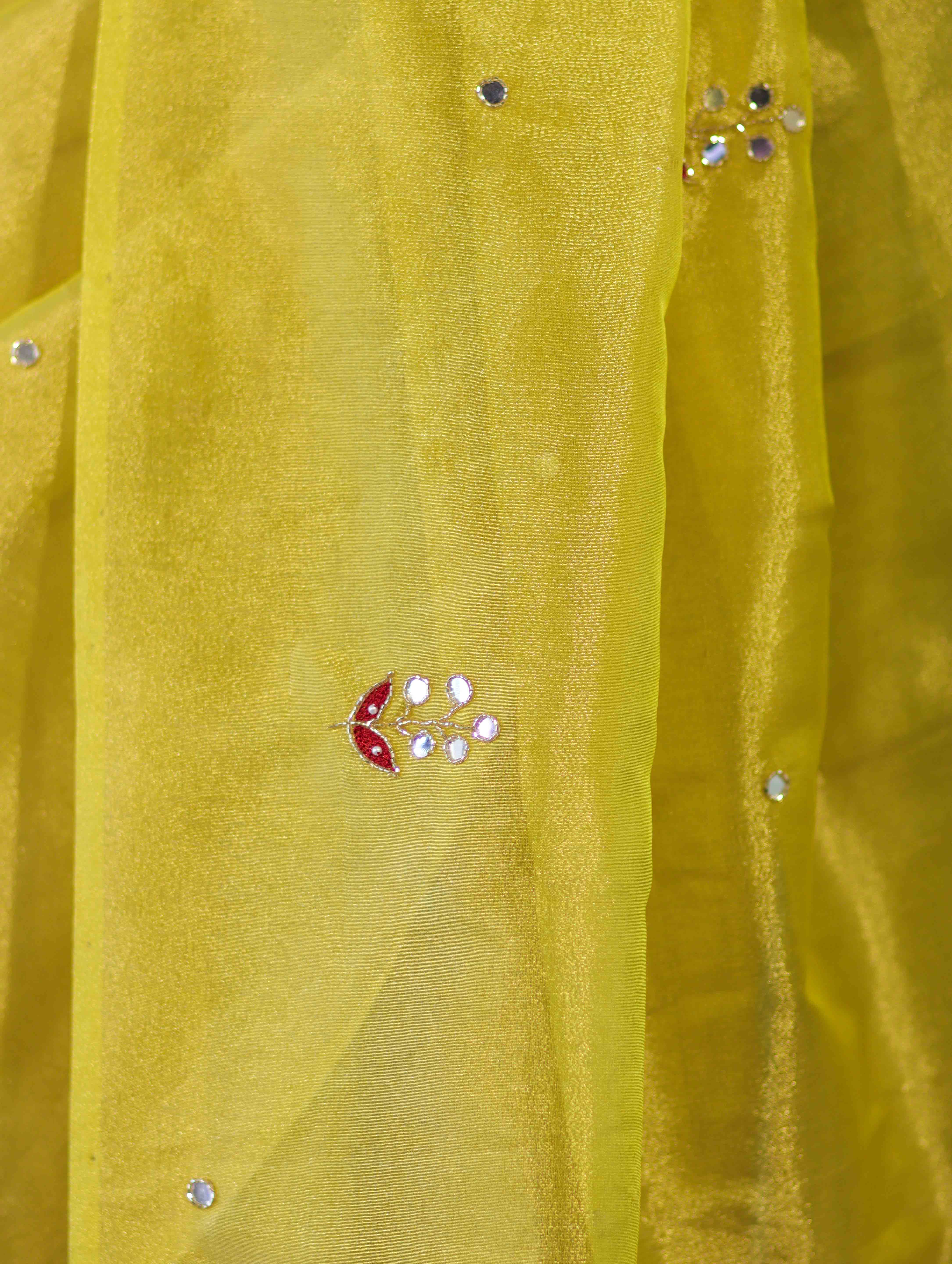 Banarasee Handwoven Tissue Saree With Floral Motifs & Mirror Work-Yellow