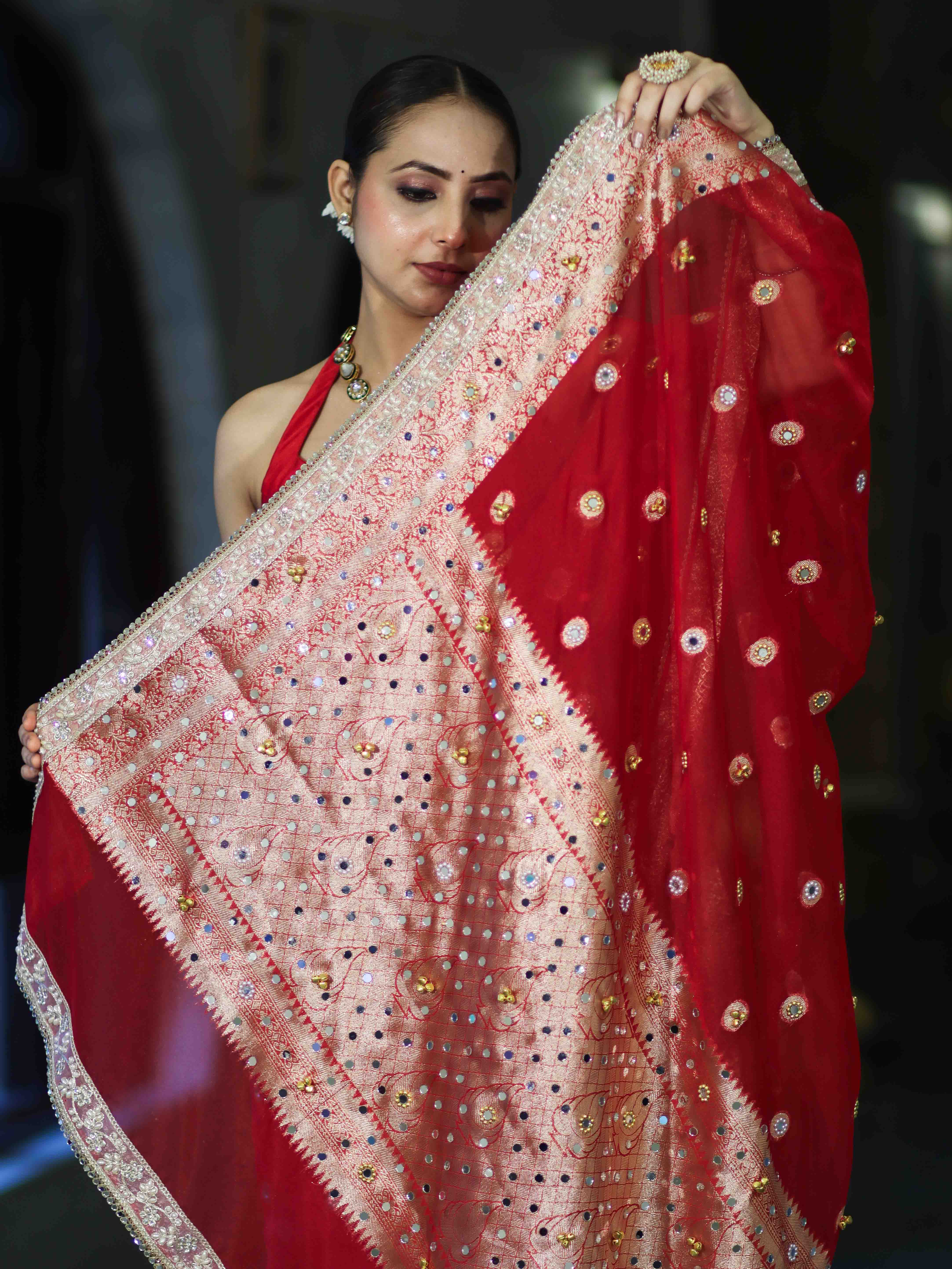 Banarasee Chiffon Hand Embroidered Saree With Mirror & Ghungroo Work-Red
