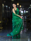 Banarasee Handwoven Tissue Saree With Floral Motifs & Mirror Work-Green