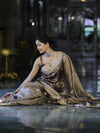 Banarasee Handwoven Tissue Zari Woven Mirror Work Saree-Earthy Brown