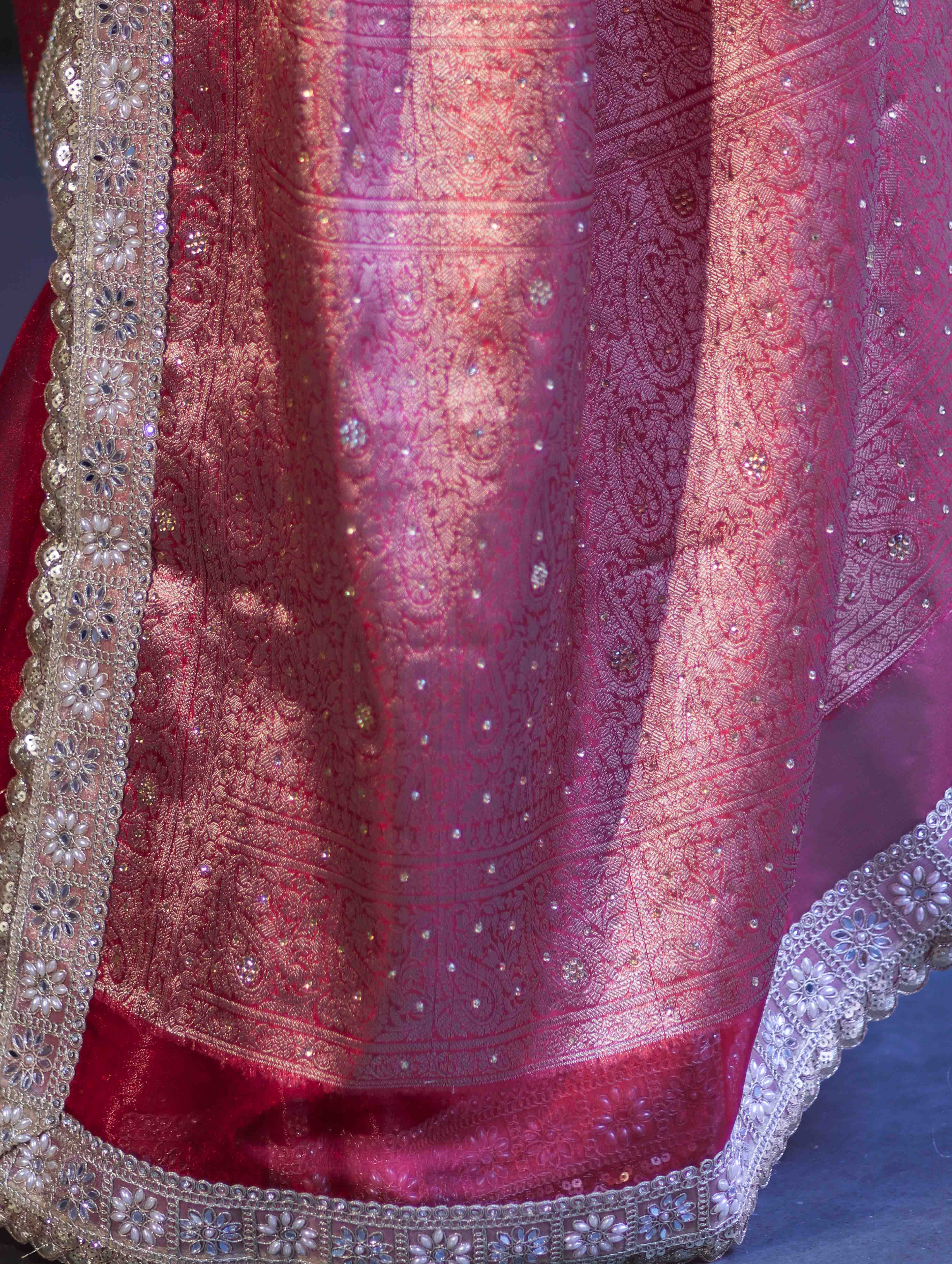 Banarasee Plain Tissue Saree With Swarovski Work Pallu & Zari Lace Border-Red