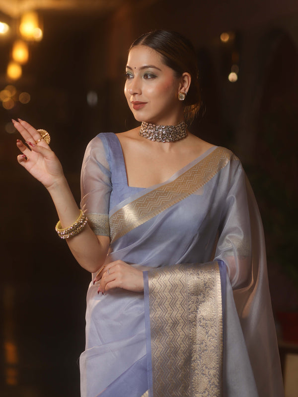 Banarasee Organza Dual Color Plain Saree With Zari Border Design-Pastel Blue