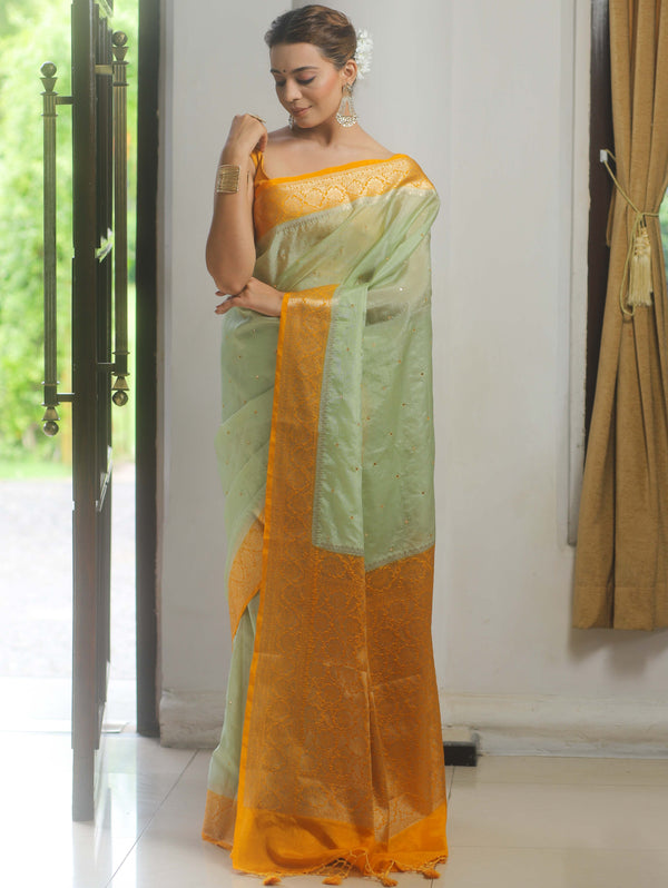 Banarasee Handloom Mirror Work Dupion Saree With Contrast Border-Light Green & Yellow