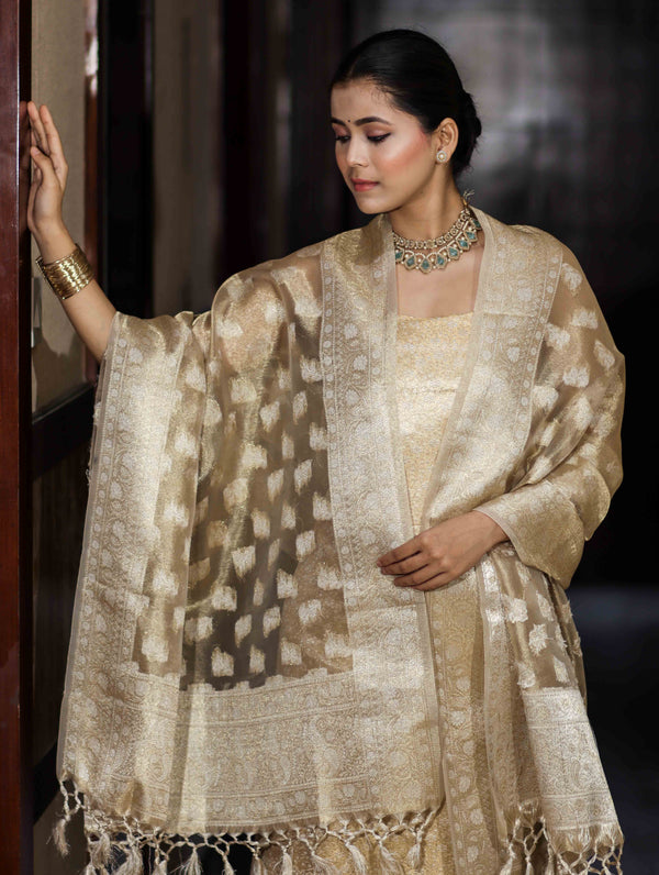 Banarasee Tissue Zari Weaving Salwar Kameez Fabric With Dupatta Set-Gold