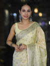 Banarasee Handwoven Pure Tussar Saree With Woven Resham Design-Light Yellow