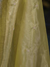 Banarasee Tissue Saree With Handwork Motifs & Mirror Work Lace-Light Yellow