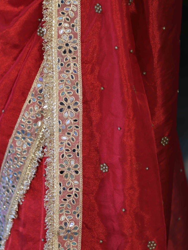 Banarasee Tissue Saree With Handwoven Motifs & Mirror Work Lace-Deep Red