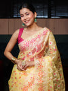 Banarasee Organza Mix Saree With Zari Jaal Design-Yellow