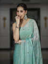 Banarasee Handwoven Dual Shaded Chiffon Saree With Aari Motifs-Light Green