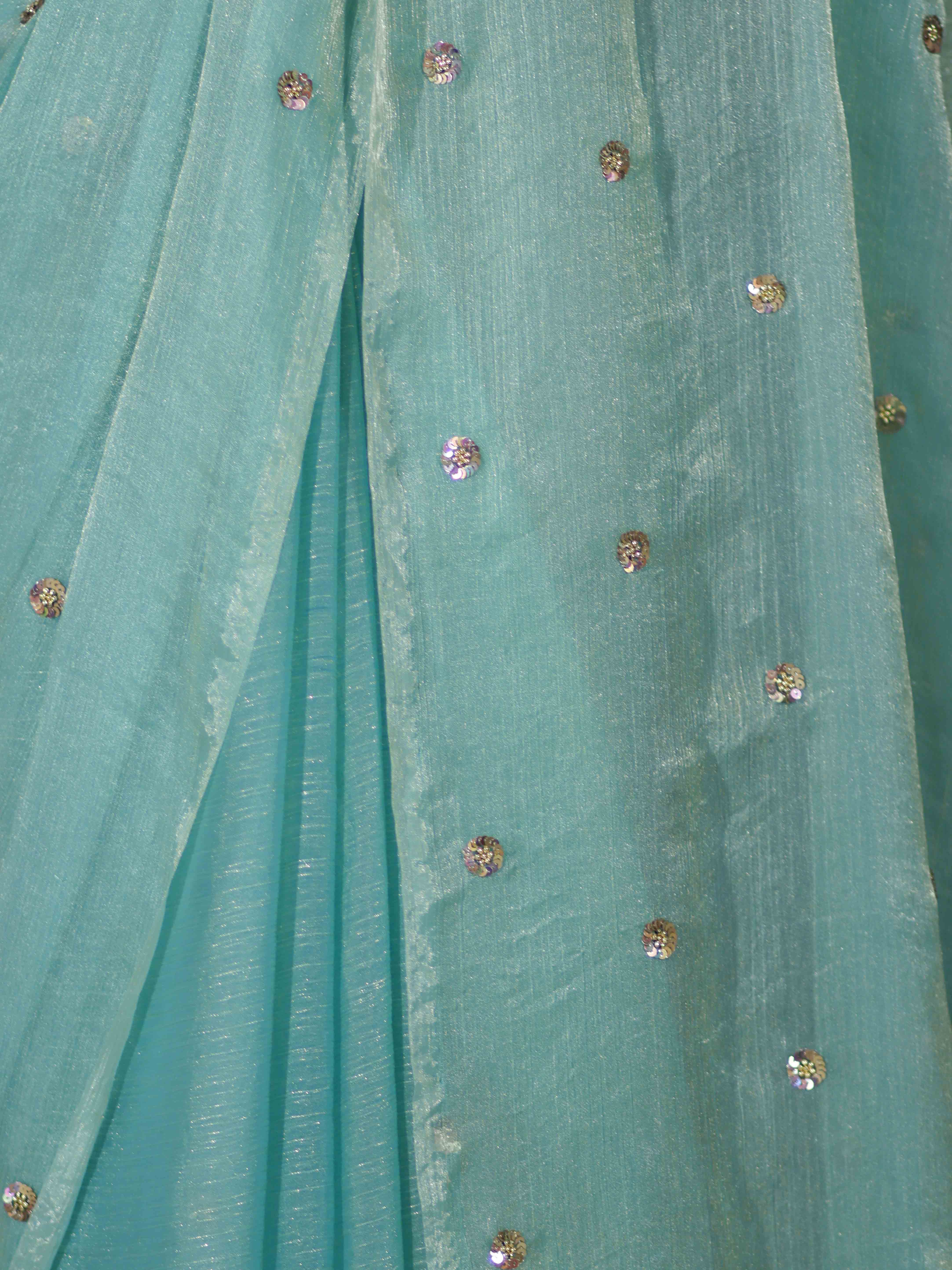 Banarasee Handwoven Dual Shaded Chiffon Saree With Aari Motifs-Light Green